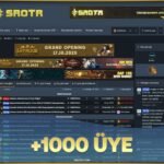 Silkroad Private Server